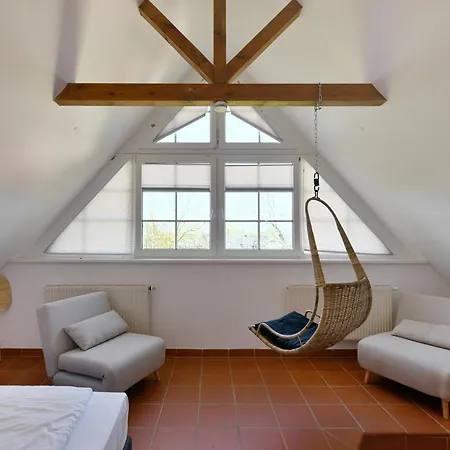 Am Gutspark Drankse Sonnendistel Dranske