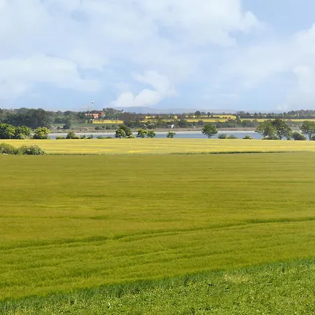 Am Gutspark Drankse Sonnendistel