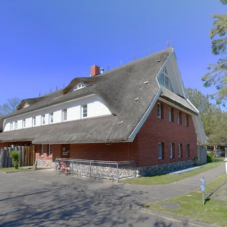 Am Gutspark Drankse Sonnendistel