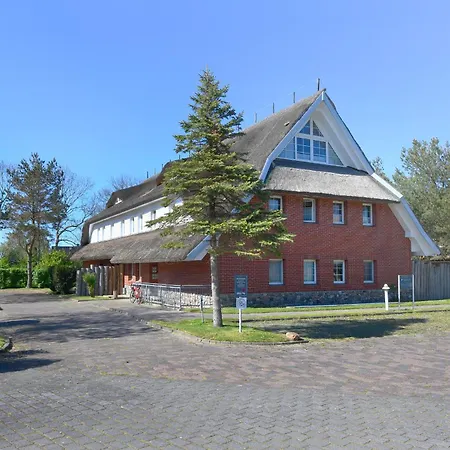 Am Gutspark Drankse Sonnendistel *