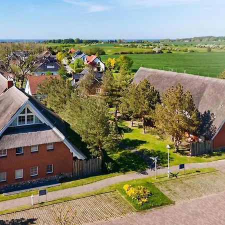 Am Gutspark Drankse Sonnendistel