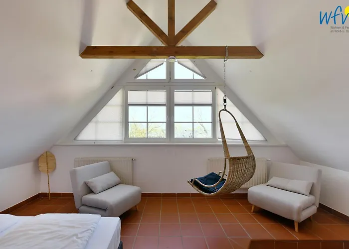 Am Gutspark Drankse Sonnendistel Dranske