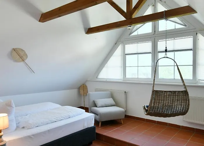 Am Gutspark Drankse Sonnendistel * Dranske