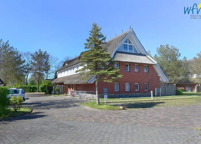 Am Gutspark Drankse Sonnendistel *